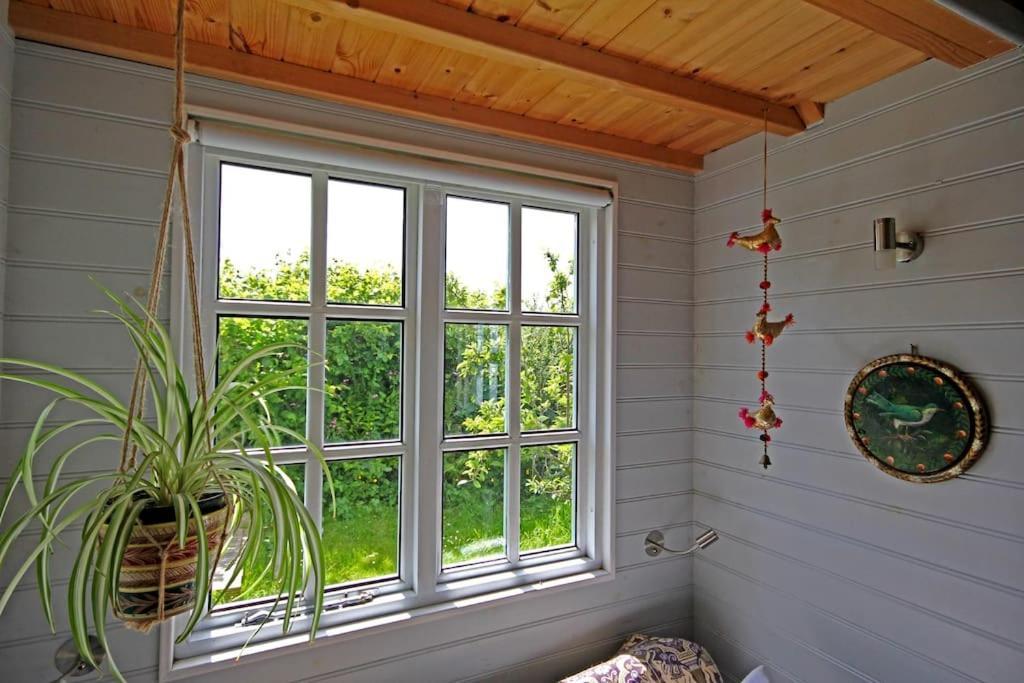 Tiny House On Isolated Farm By The Cornish Coast Villa Bude Bagian luar foto